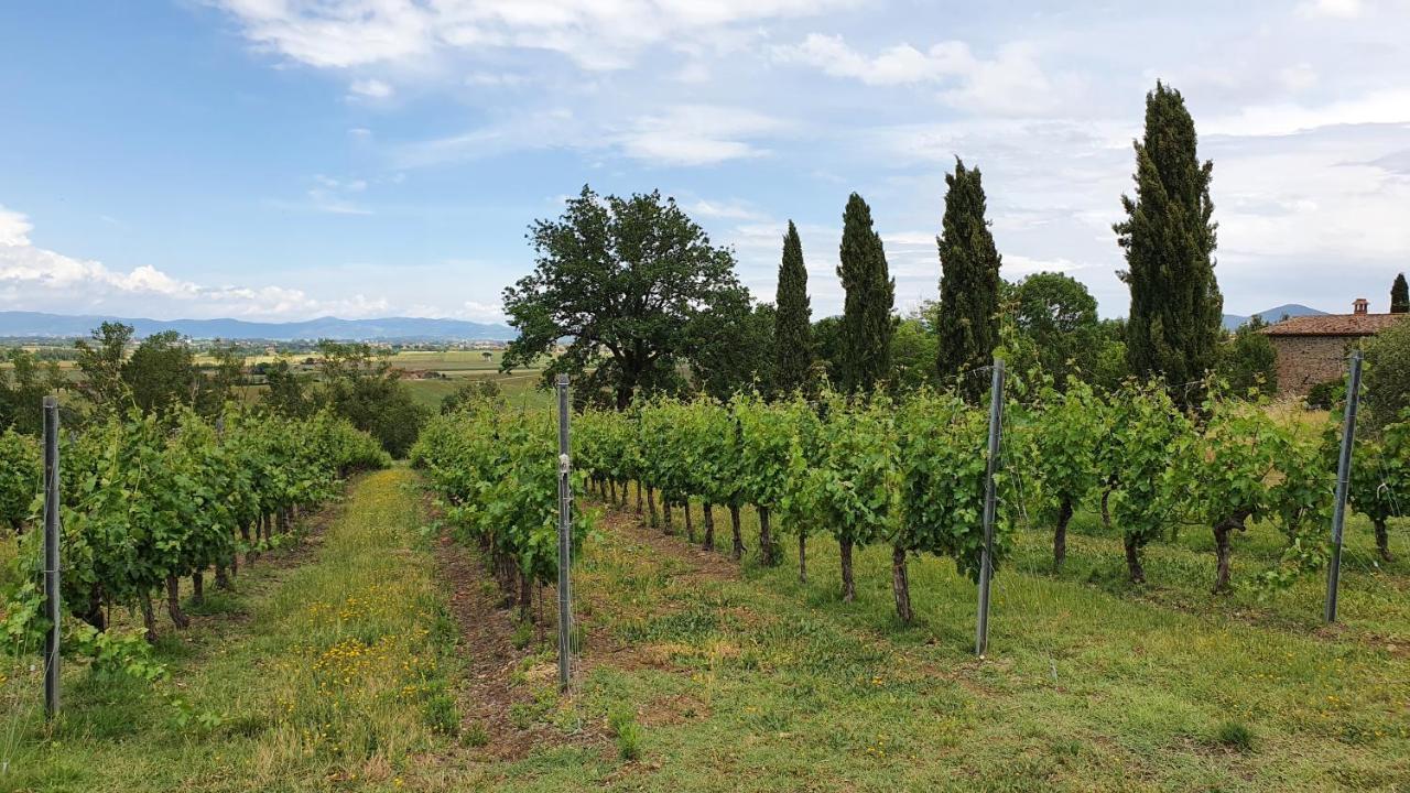 Vacanze Sant Andrea Paciano Eksteriør billede