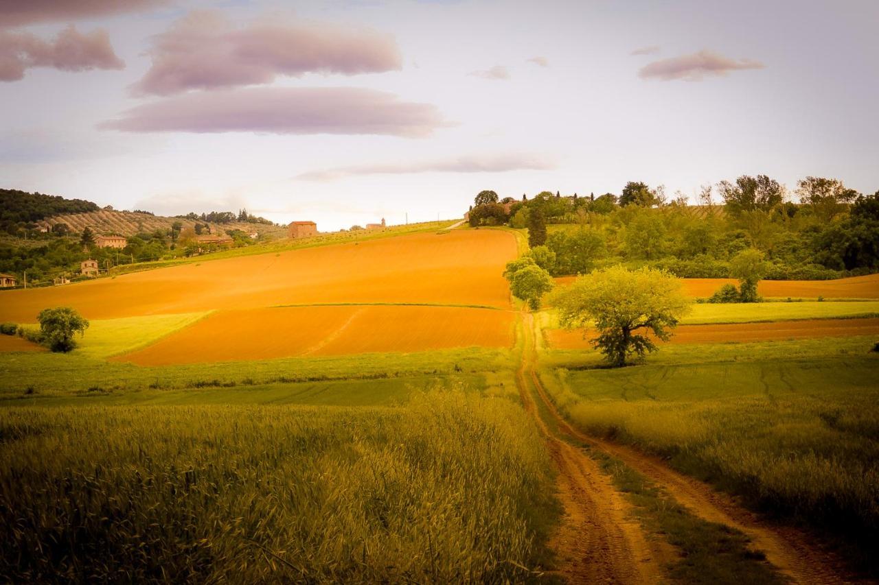 Vacanze Sant Andrea Paciano Eksteriør billede